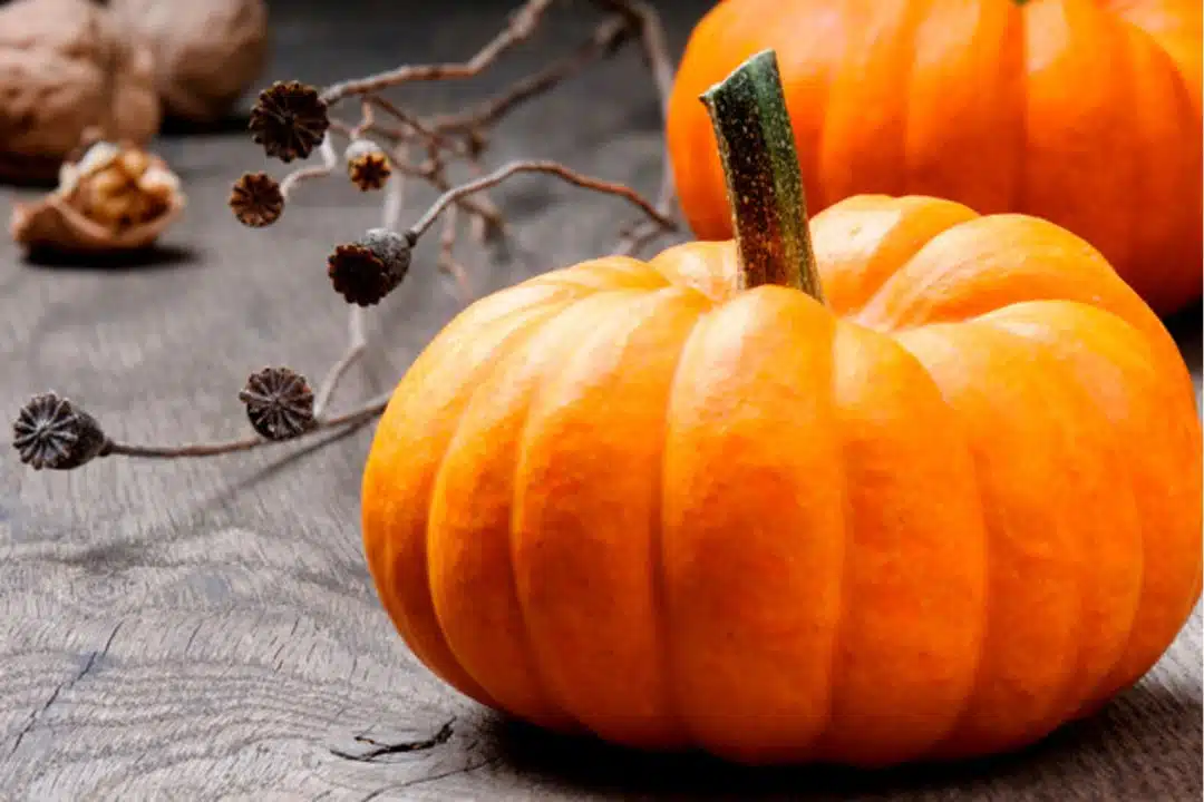 Pumpkin Tips for Preparation & Cooking: A Guide for Home Cooks