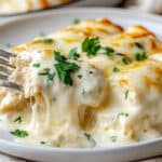 White Chicken Enchiladas Recipe