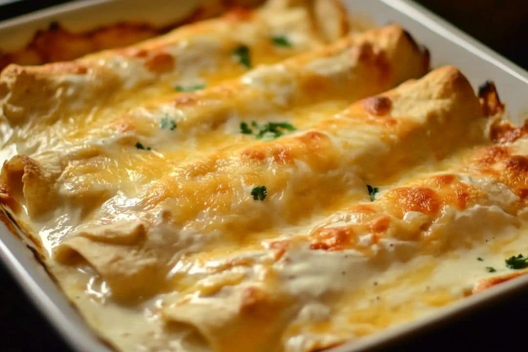 Chicken Enchiladas with Sour Cream White Sauce