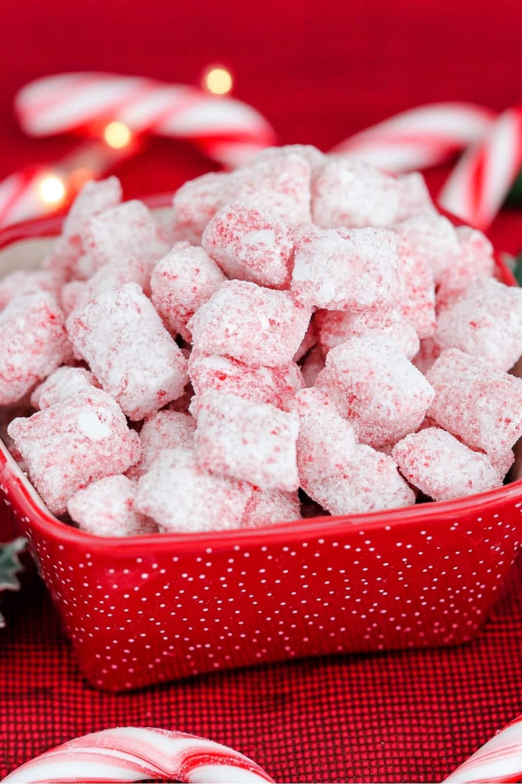 This Candy Cane Peppermint Puppy Chow recipe is a festive holiday treat! Chex cereal coated in peppermint baking chips, powdered sugar, and crushed candy canes makes a perfect Christmas snack.








