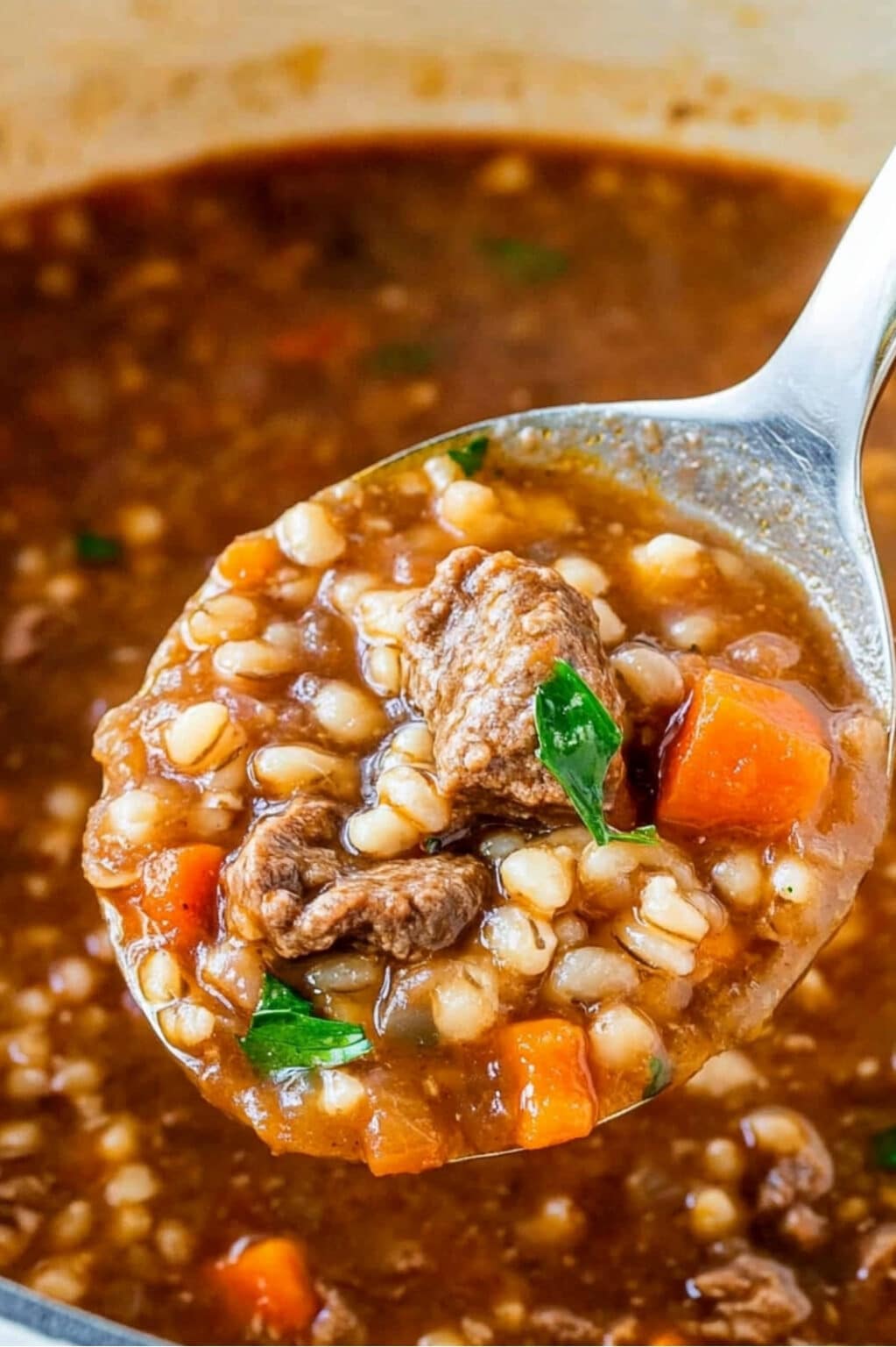 Easy Beef Barley Soup Recipe