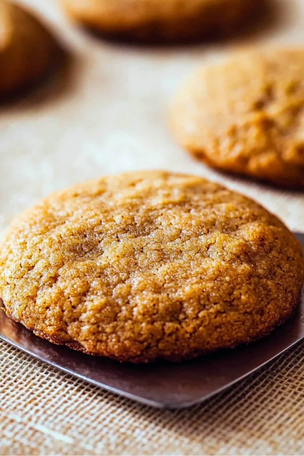 These Pumpkin Cookies with Cinnamon Cream Cheese Frosting are a fall favorite! Soft, spiced pumpkin cookies topped with creamy cinnamon frosting for a perfect autumn treat.








