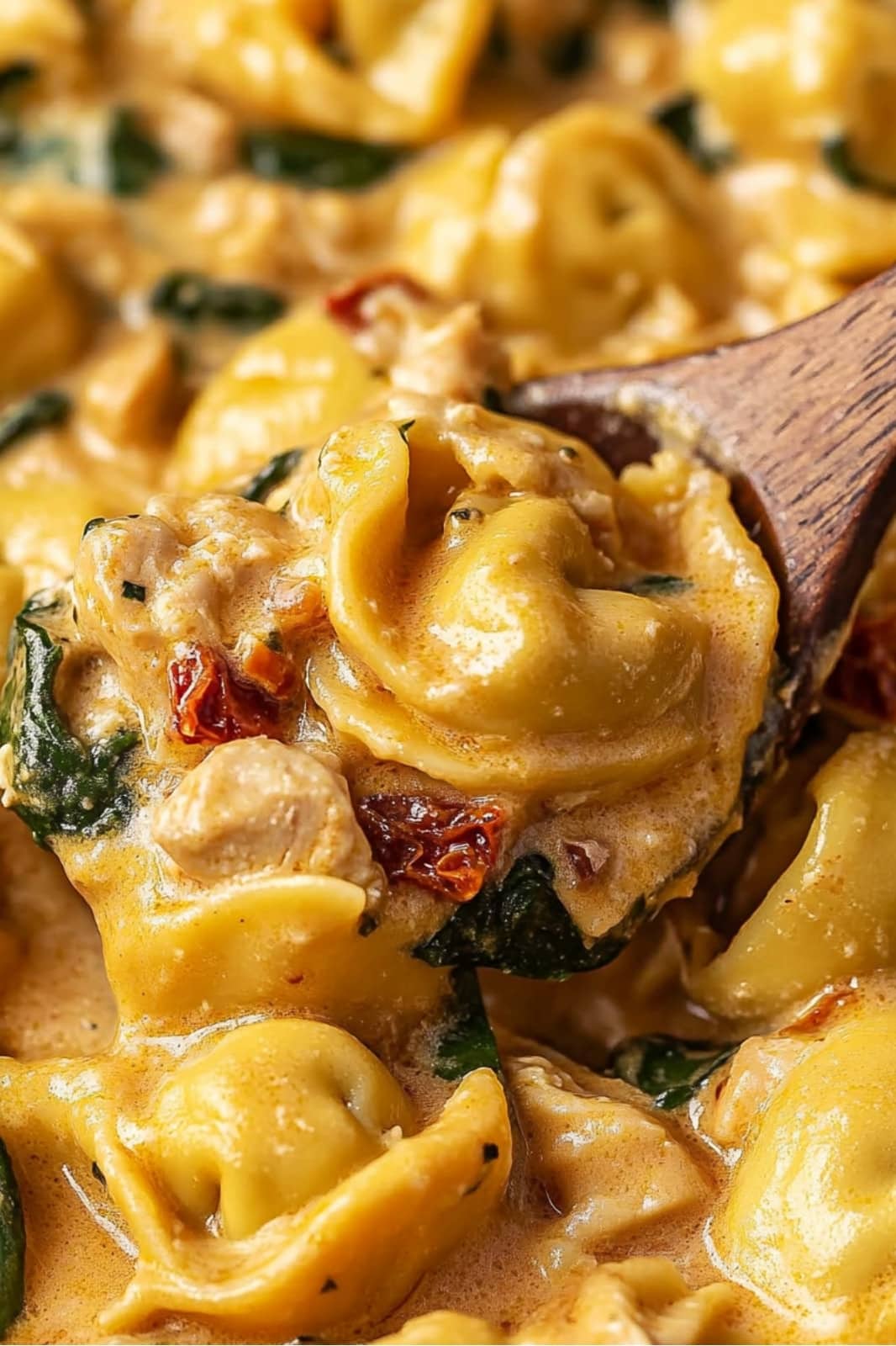 This Marry Me Chicken Tortellini recipe combines tender chicken, cheese tortellini, and a creamy sun-dried tomato sauce for a deliciously comforting meal! Ready in 30 minutes, perfect for weeknights.