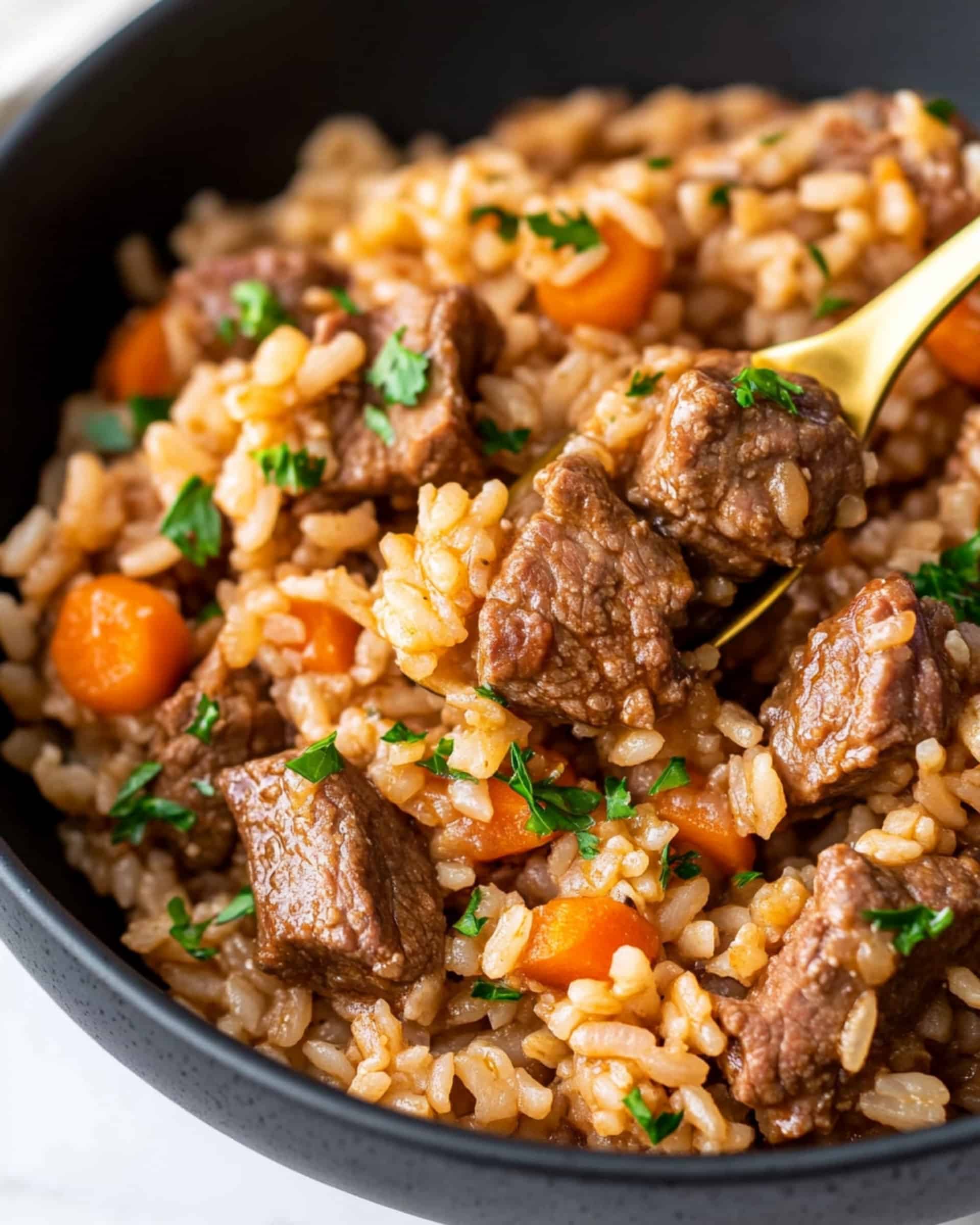 Instant Pot Beef and Rice Recipe