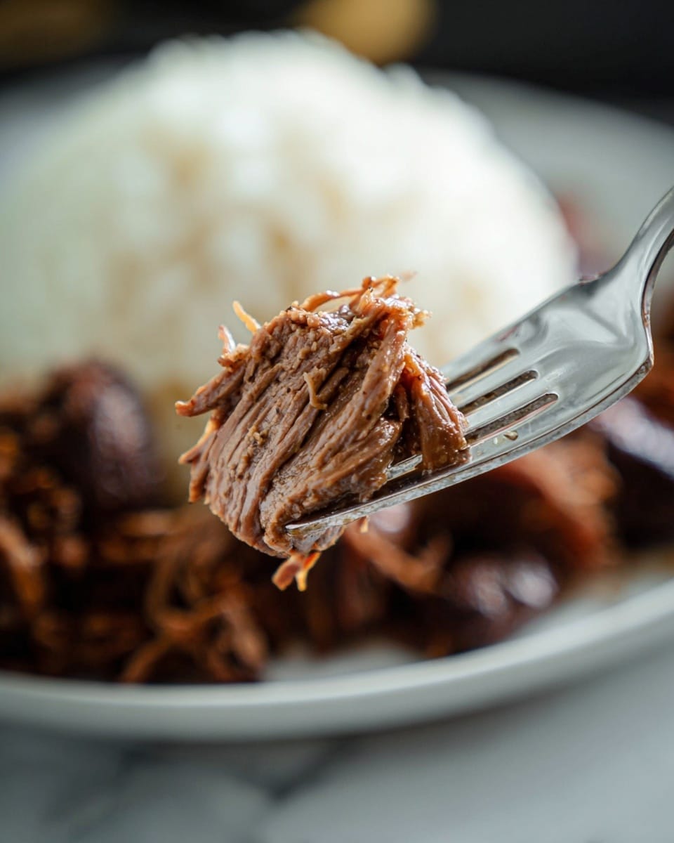A close-up of a silver fork holding a single piece of tender, shredded brown beef with visible muscle strands and slight seasoning. In the blurred background, there is a white plate filled with a mound of white rice and more dark brown shredded beef, placed on a white marbled surface with soft lighting. photo taken with an iphone --ar 4:5 --v 7