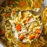 Best Chicken Noodle Soup with Egg Noodles Recipe