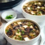 Slow Cooker Hot and Sour Soup Recipe