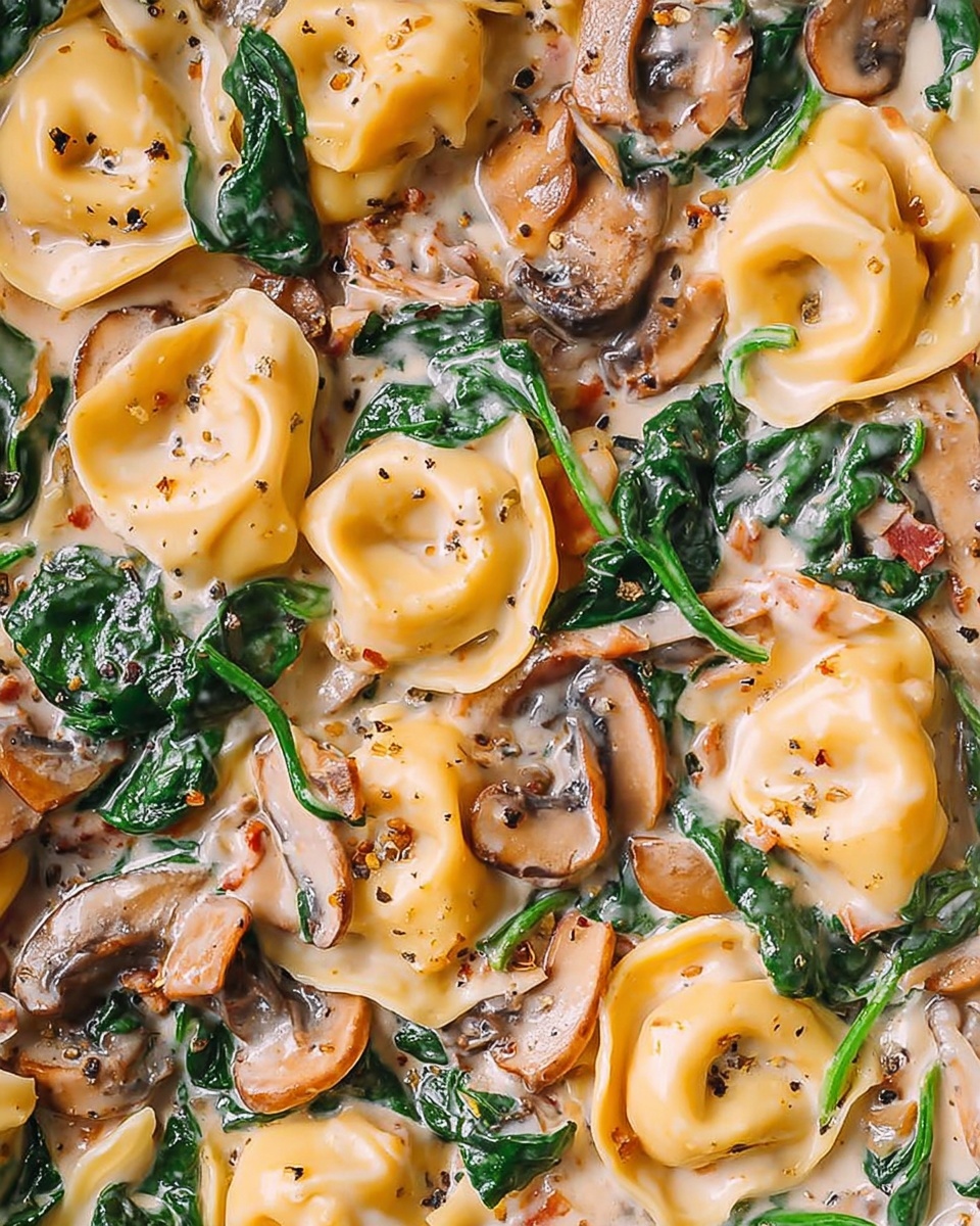 Creamy Spinach Mushroom Tortellini Recipe 4 Creamy Spinach Mushroom Tortellini Recipe