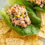 Chipotle Lime Chicken Salad Recipe